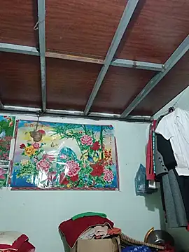 Monglan-c webcam