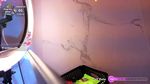 genesis_01_tp webcam