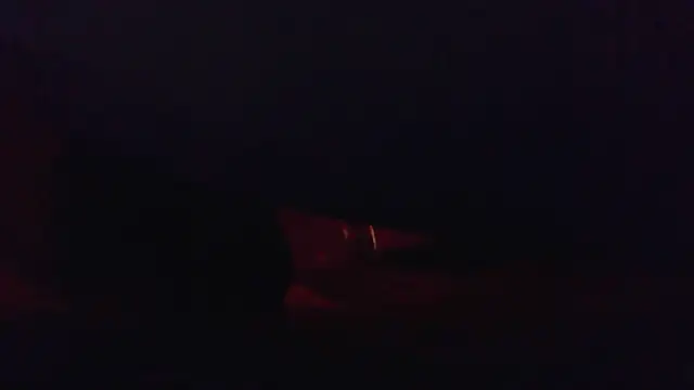 CrownVic25CM webcam