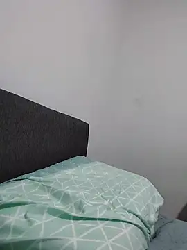 Tiger_cryad webcam