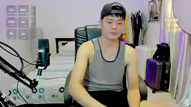 clarkdangerous webcam