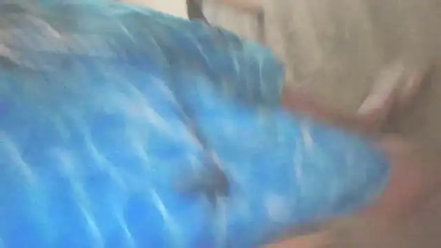Yankeedave420