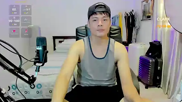 clarkdangerous webcam