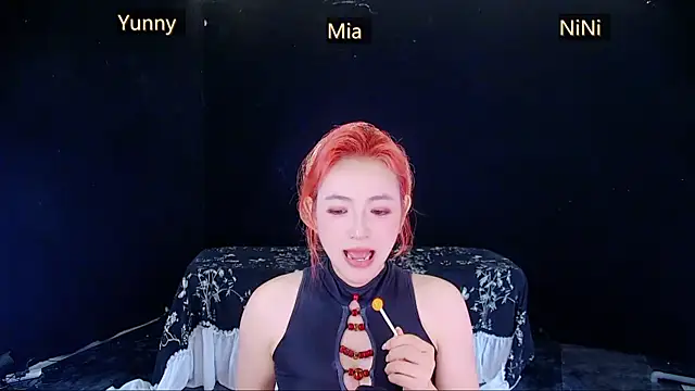MiNi-U webcam