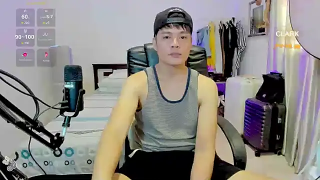 clarkdangerous webcam