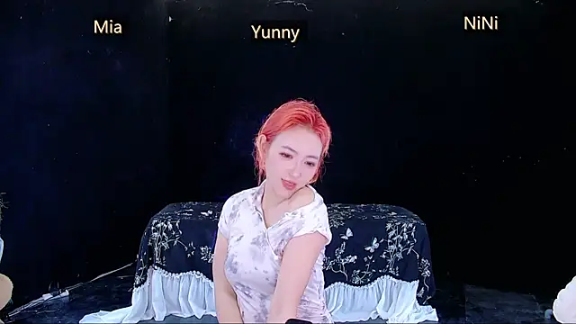 MiNi-U webcam