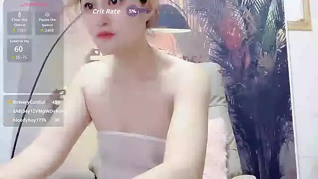 Summer-C webcam