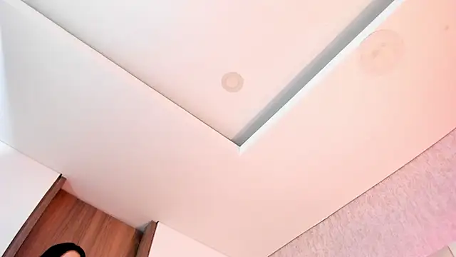 alice_lodge_ webcam