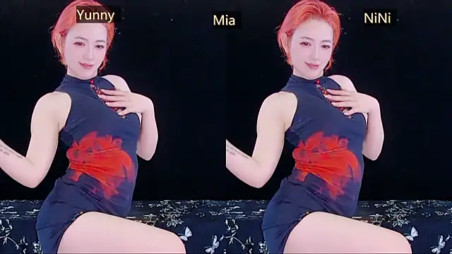 MiNi-U webcam