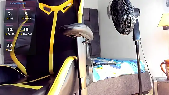 brian_smitth webcam