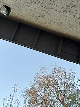 goodgirlbabydoll webcam