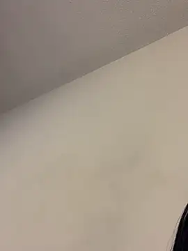 -Brittanny webcam