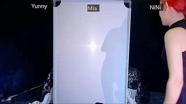 MiNi-U webcam