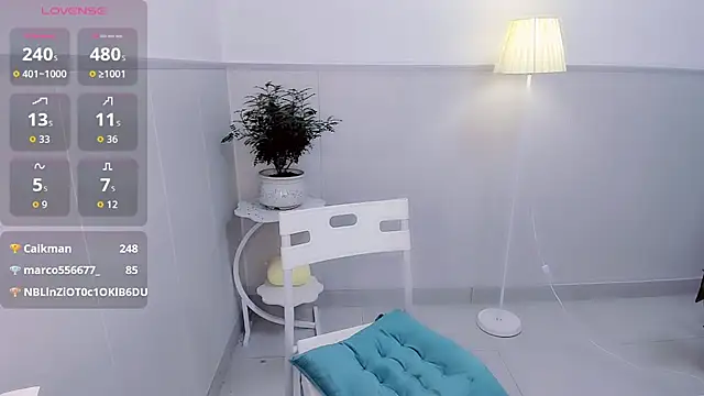 Wan-Yun-520 webcam