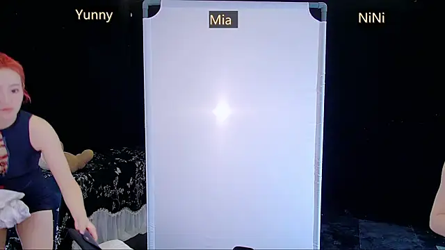 MiNi-U webcam