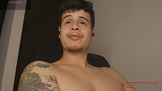 BjornSteel webcam