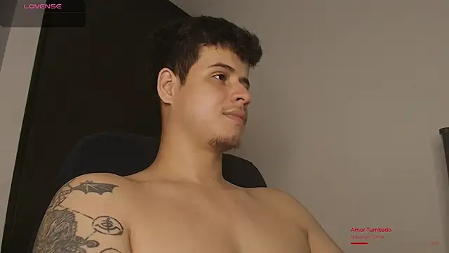 BjornSteel webcam