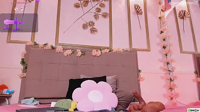 amandalee01 webcam