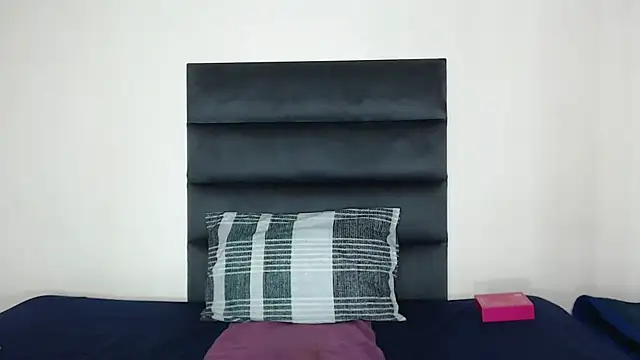 Ldidii webcam