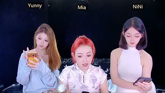 MiNi-U webcam