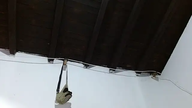 sk8-sir webcam