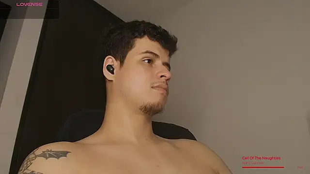 BjornSteel webcam