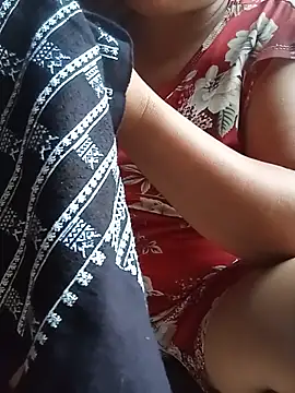 Ip34 webcam