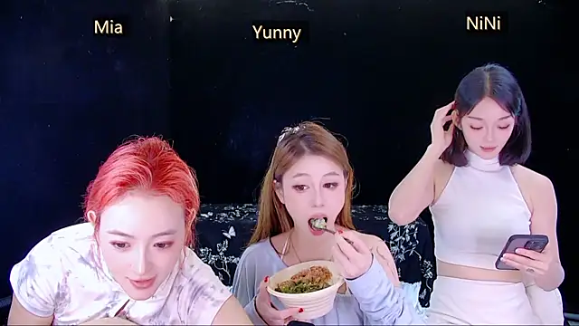 MiNi-U webcam