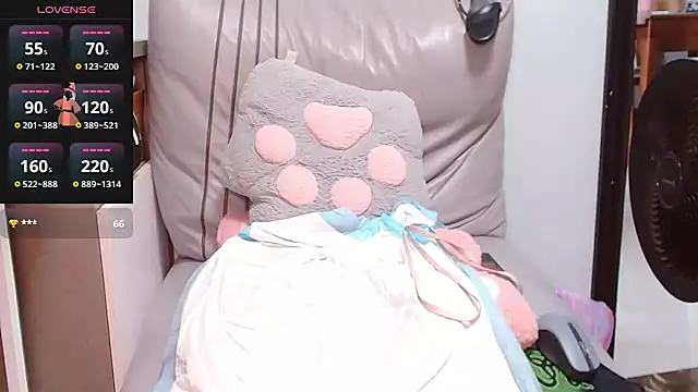cici-2026 webcam