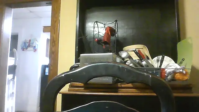 TheOneDonShaun webcam