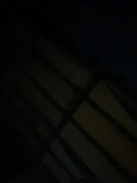 hugecock_tamira webcam