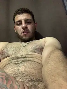 o-theus webcam