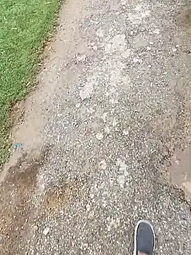 fullyhardy webcam