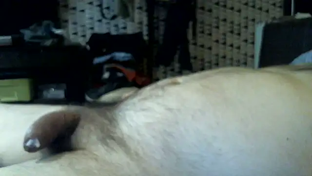 BHOT12 webcam