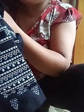 Ip34 webcam