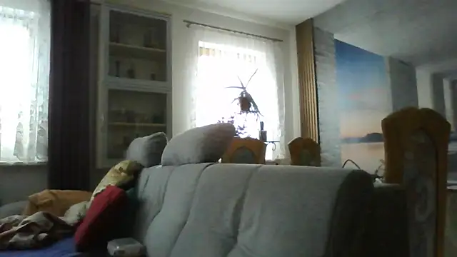 Geiler668 webcam
