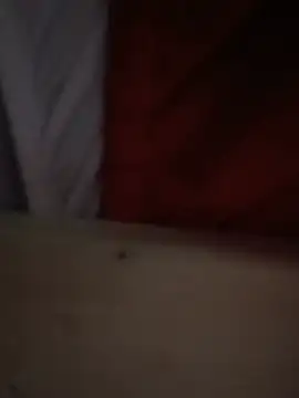 Brickstash webcam