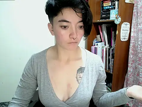 Came-II webcam