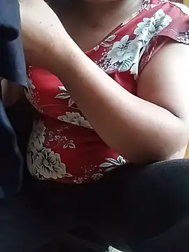 Ip34 webcam