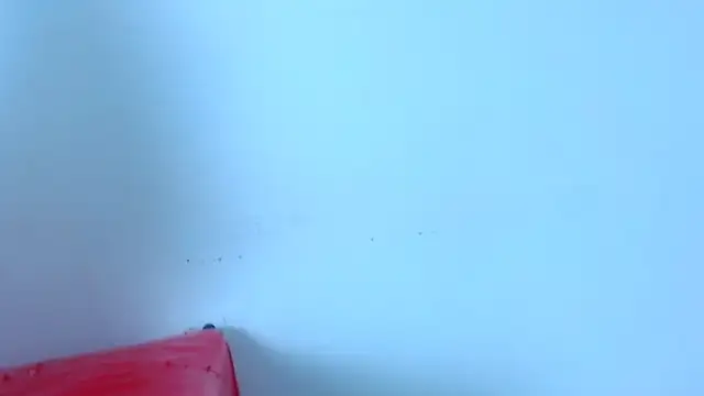 ambar69noir webcam