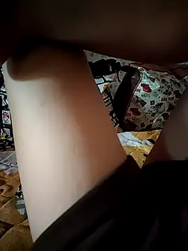 -Tara-a webcam