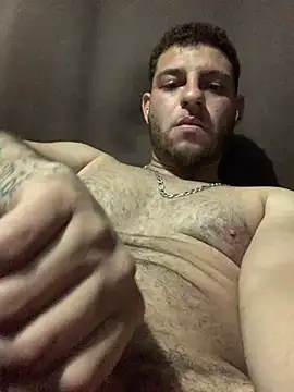 o-theus webcam
