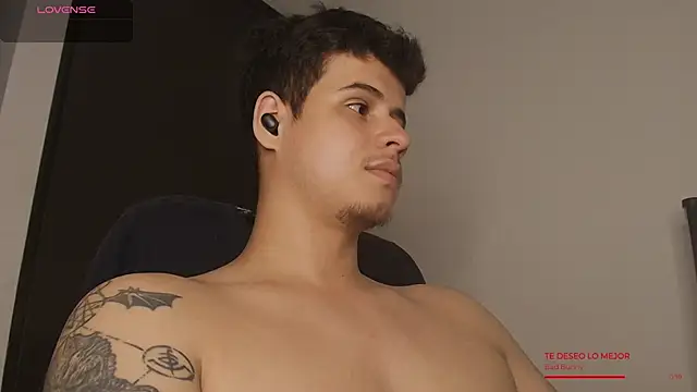 BjornSteel webcam