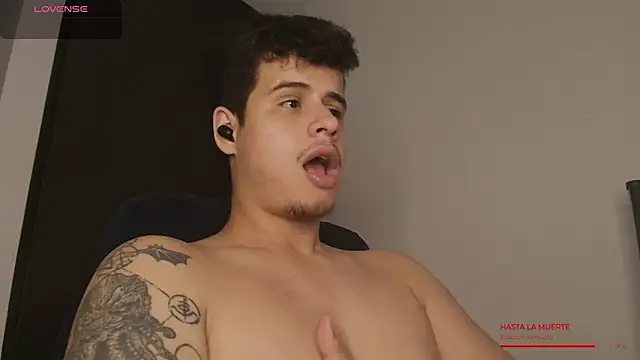 BjornSteel webcam