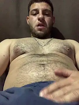 o-theus webcam