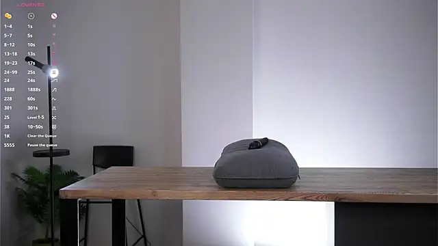 CaseyMulders webcam