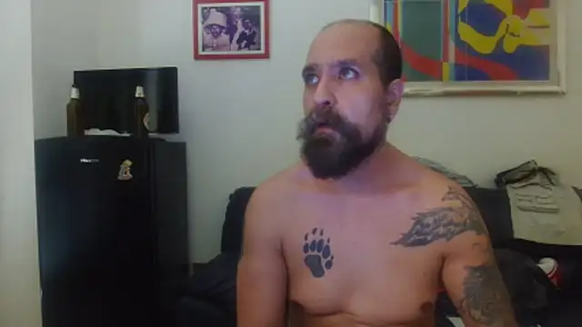 AMIRDIB2025 webcam