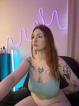 _HESOYAM webcam