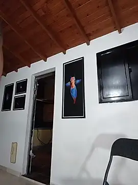 SilvaBranko's live cam