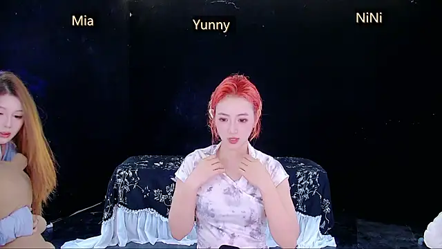MiNi-U webcam